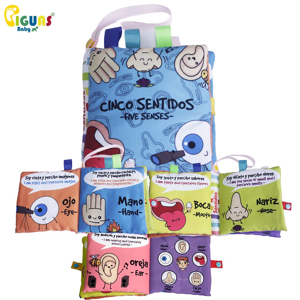 Desarrolla el reconocimiento de los órganos de los sentidos y sus funciones.